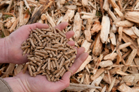 //iqrorwxhppnolm5m.ldycdn.com/cloud/lpBpiKrollSRlklkqliojo/wood-pellets-WPAC.jpg